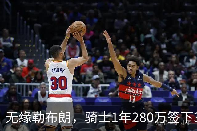 无缘勒布朗，骑士1年280万签下31岁欧洲前锋赫佐尼亚